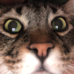 Meet your Posher, Ana luiza